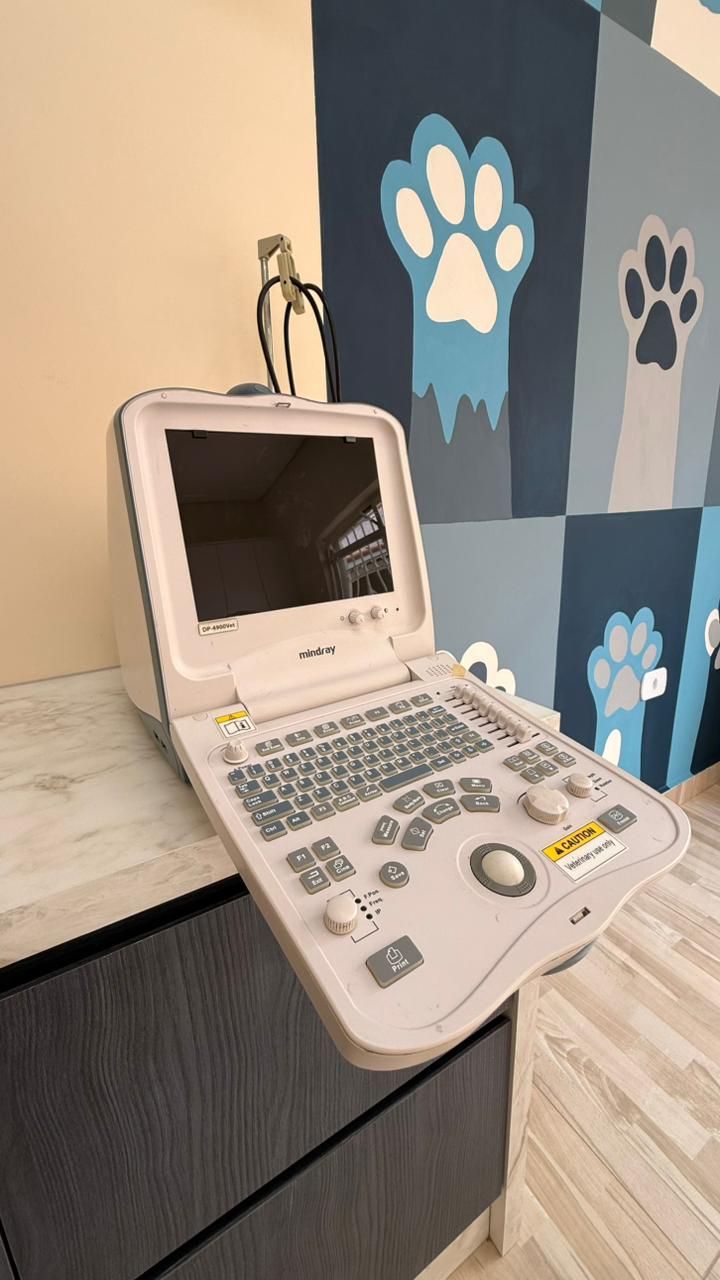 WhatsApp Image 2025-12-15 at 08.17.35